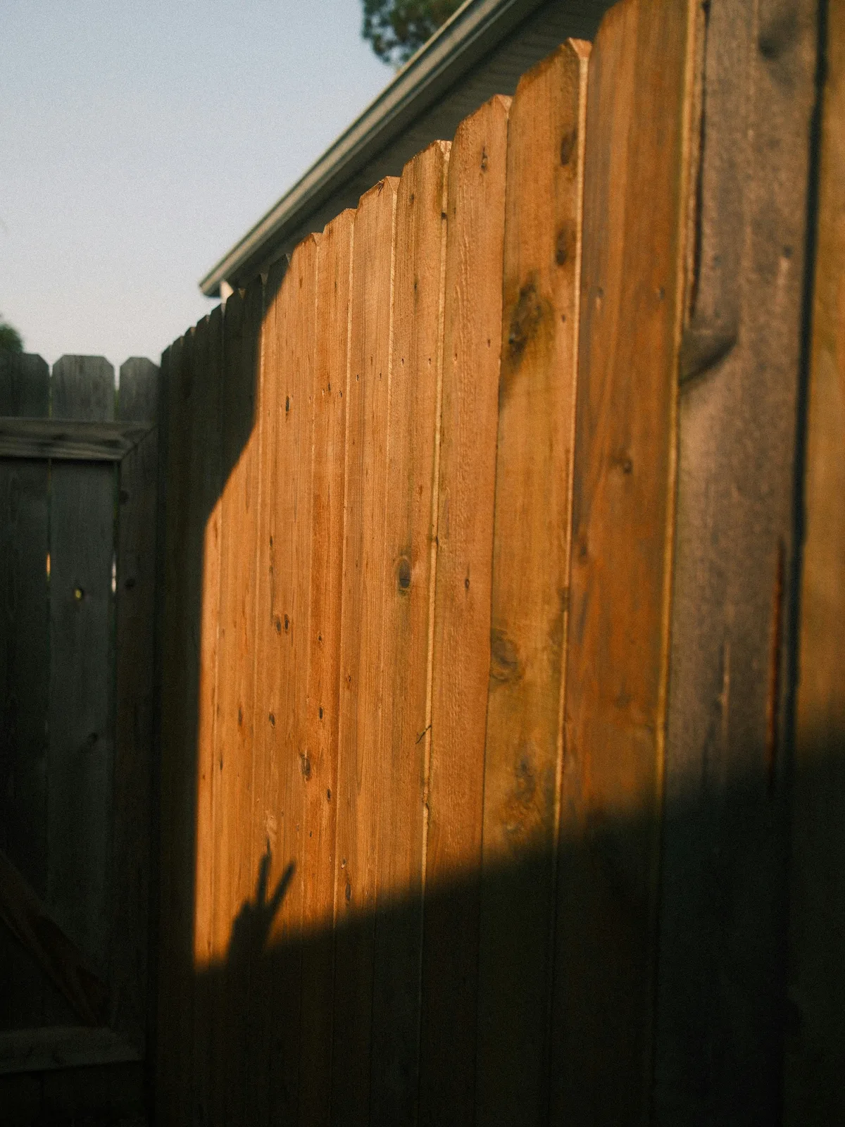 Close-up of a wood board-on-board privacy fence panel